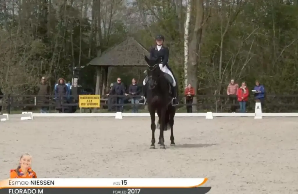 Esmae Niessen wint met vette PR’s bij pony’s én junioren: ‘Dit had ik niet durven dromen’ featured image