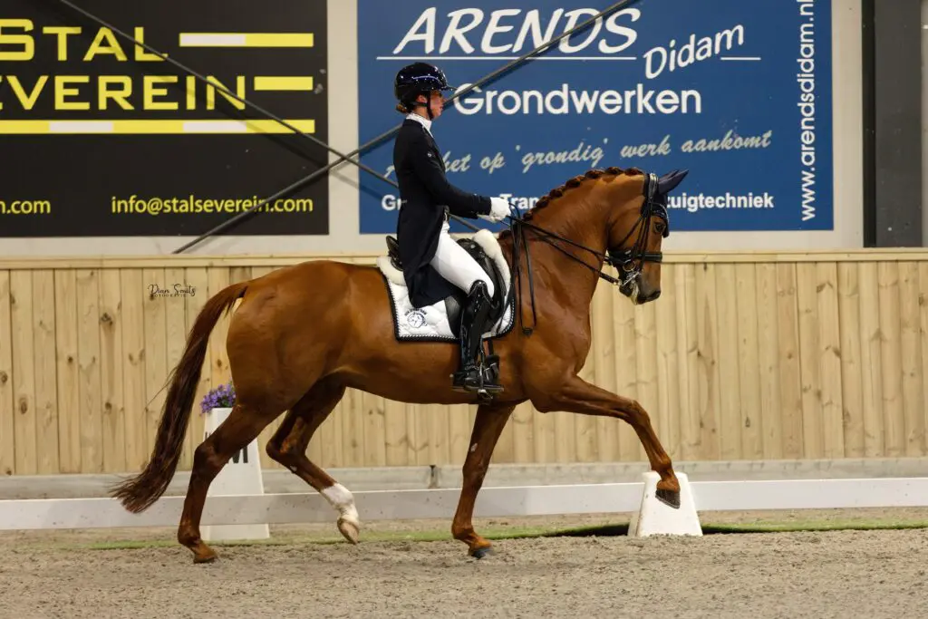 Kim Alting en Next Level bovenaan met dik PR: ‘We gaan de tweede NK-score zeker proberen’ featured image