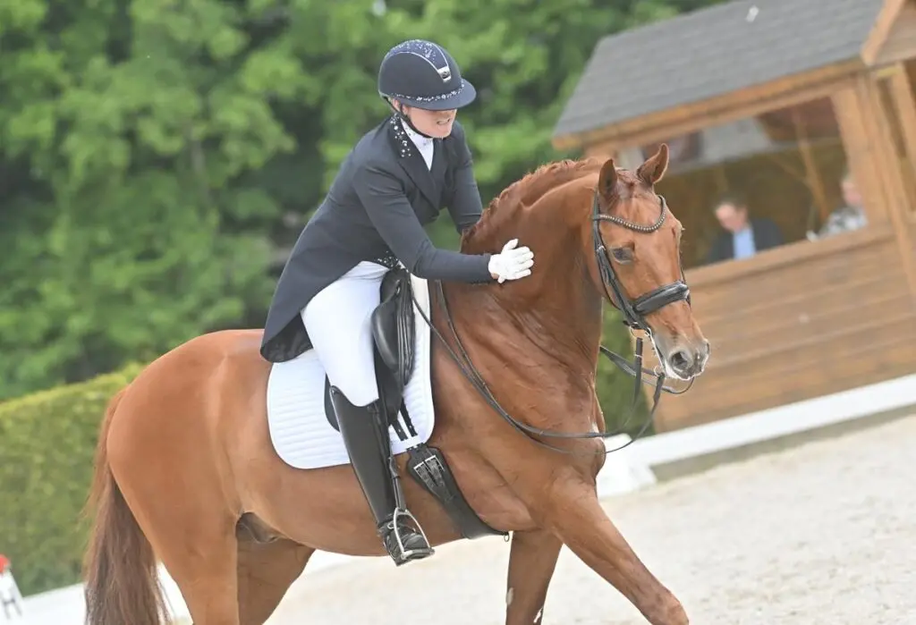 Mara de Vries scoort ruim 72% met nieuw talent: ‘Ze is heel imposant maar niet groot om te rijden’ featured image