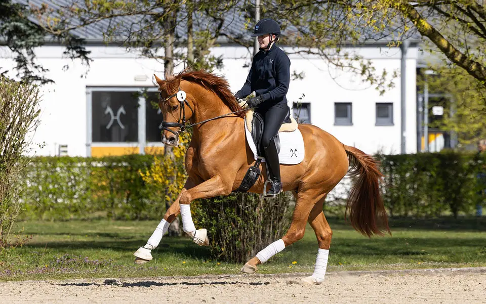 Secret levert veilingtopper in Hannover featured image