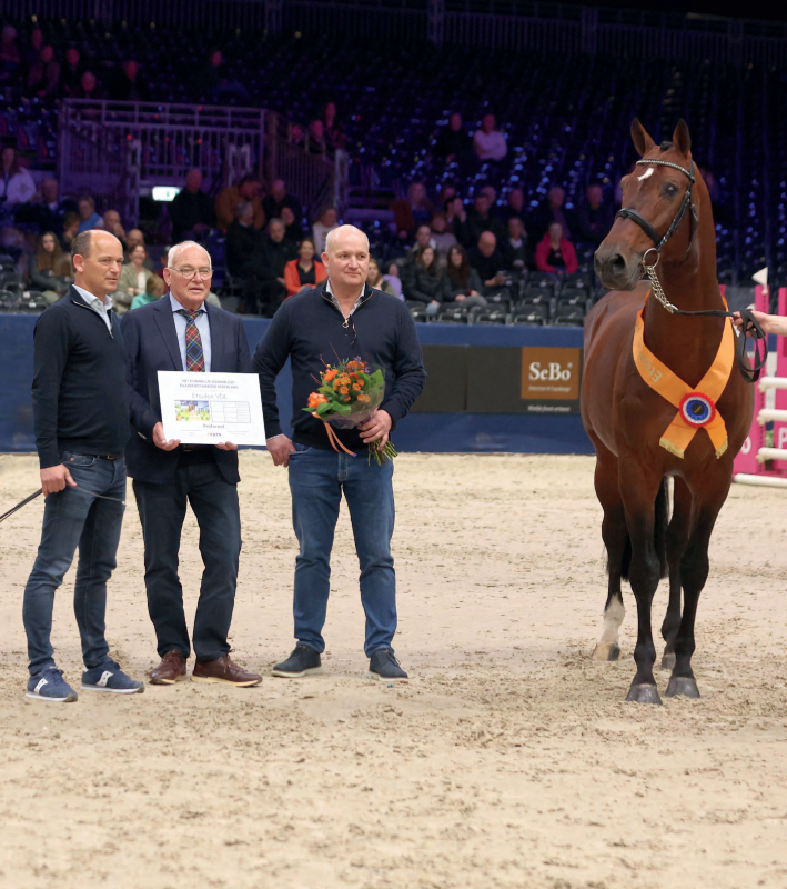 ClipMyHorse presenteert real life-reportage met familie Van de Lageweg: VDL, je kent ze wel! featured image