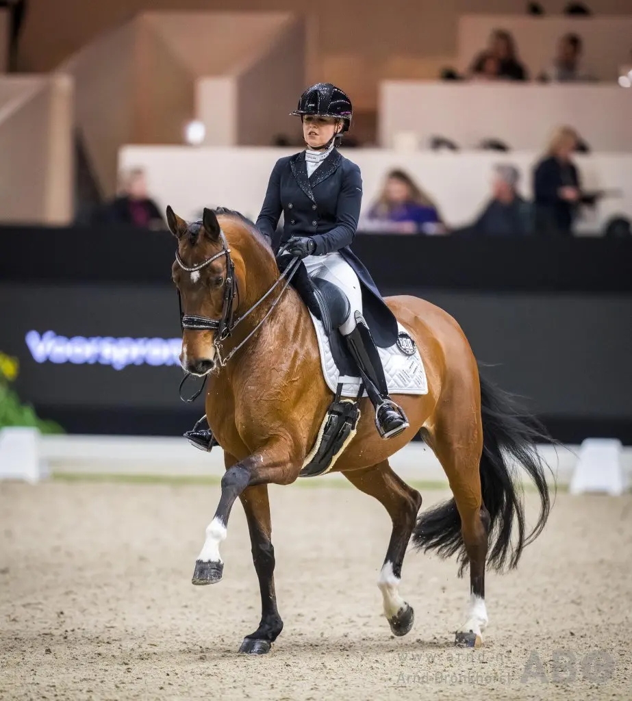 Belgisch podium in Prix St. Georges van CDI Lier, Hendrikx wint met nieuw PR featured image
