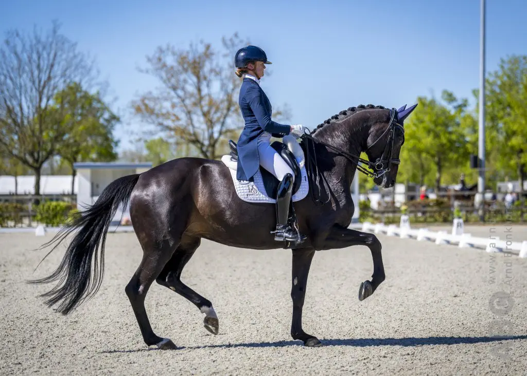 Van der Putten en Zantana mét fouten over de 76% in GPS, Van Liere en Mauro Turfhorst naar 73,787% featured image