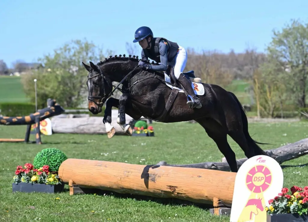 DSP Eventers Auktion: 33.000 euro voor Tresor d’Esquilin featured image