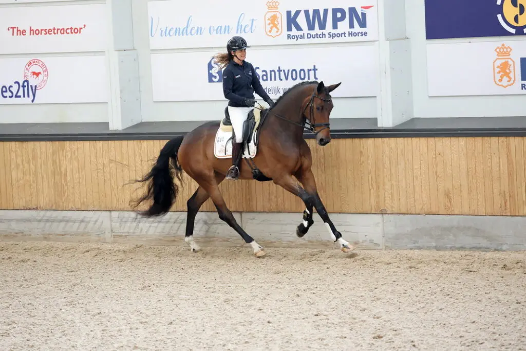 Next Pitch-dochter Seven met 82,5 topscoorder EPTM-examen featured image