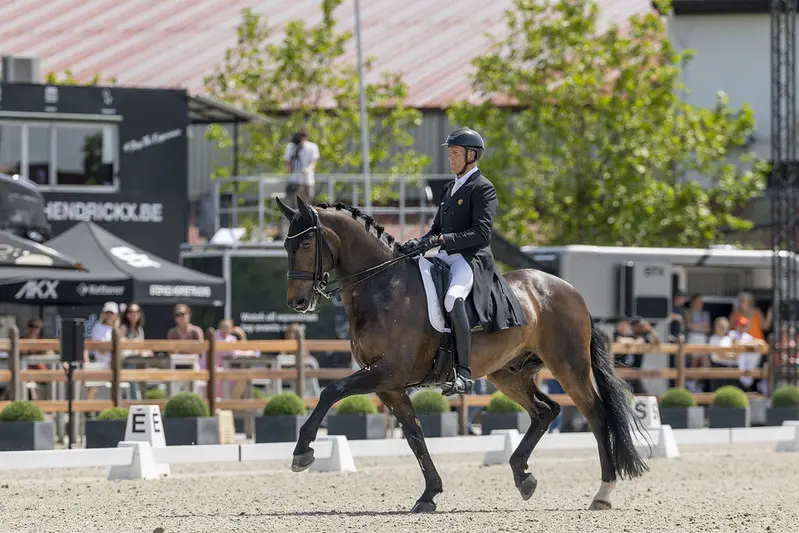Wim Verwimp en Jedai de Massa winnen 4* Spécial op eigen concours met 73,107% featured image