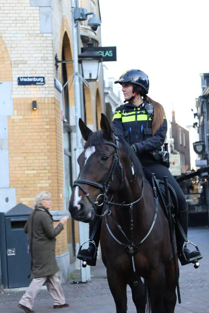 Onverstoorbaar op straat: achter de schermen bij de bereden politie draait alles om karakter, training en zorg featured image