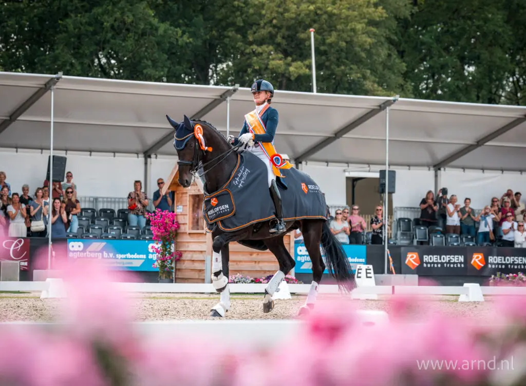 NK Dressuur 2026: 87,84% voor kür en goud voor Van der Putten, Van Baalen haalt podium op 0,11% verschil featured image