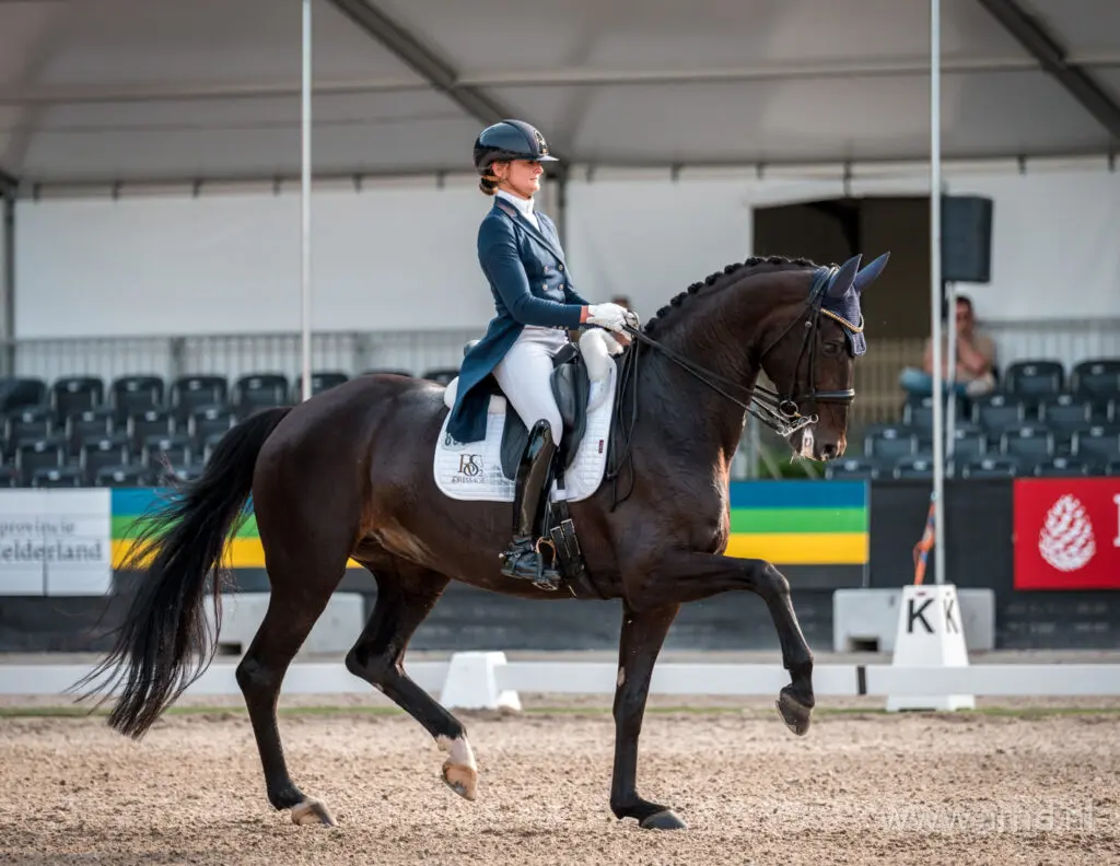 Van der Putten demonstreert het doel van de dressuur: dat een paard steeds beter wordt featured image
