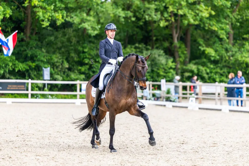 Hans Peter Minderhoud debuteert met WK-paard Nero: ‘Ik kwam er net niet lekker in maar een hartstikke fijn paard’ featured image