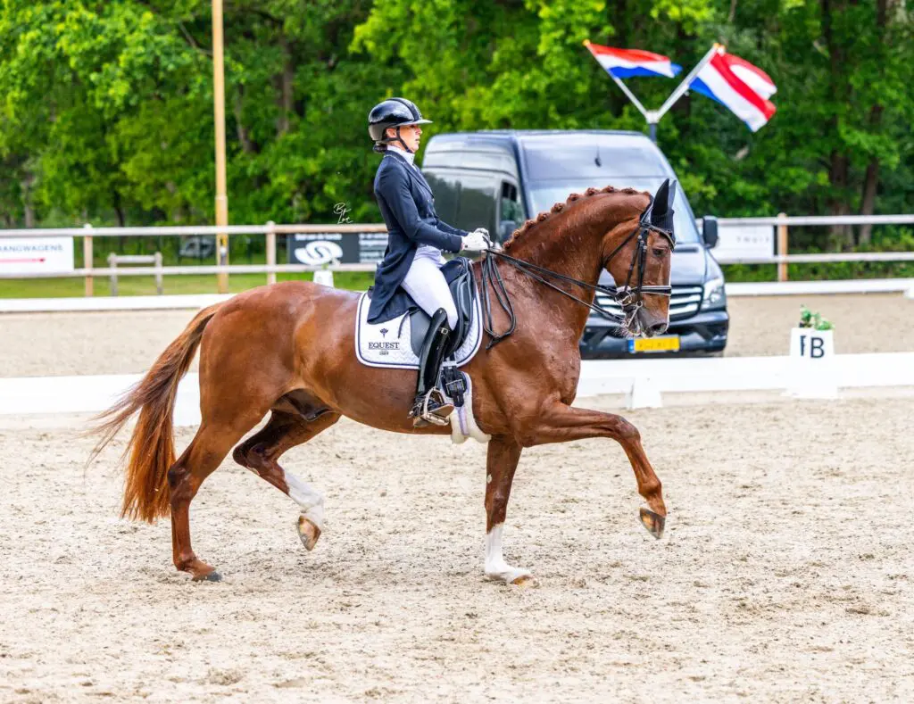Marlies van Baalen en Habibi sterk terug: ‘Ik hoop dat we de wind weer in de zeilen hebben” featured image