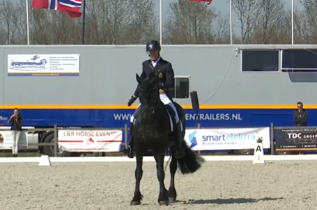 Friese Grand Prix-hengst Mees 497 verkocht featured image