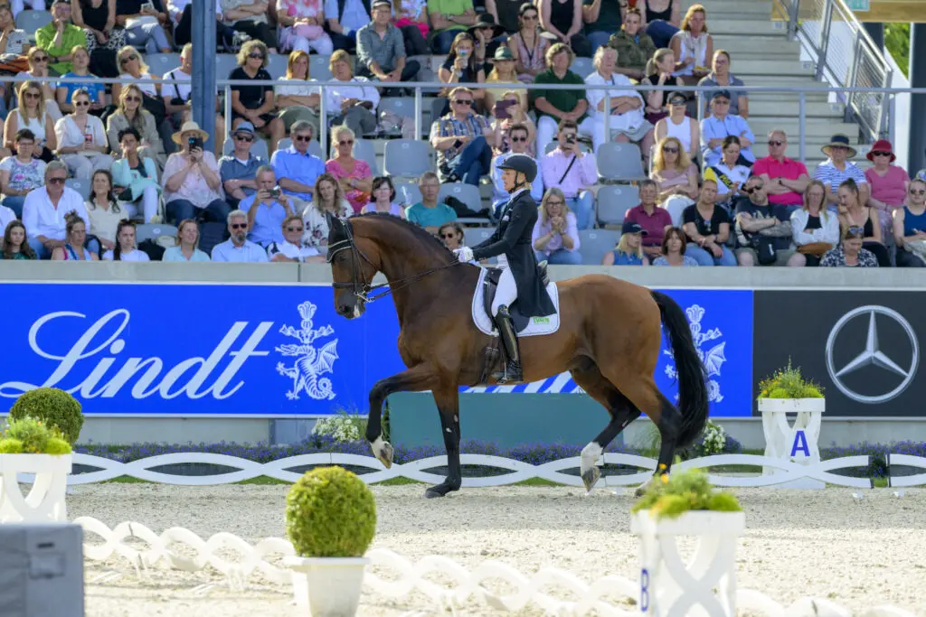 Vayron NRW niet fit, Klimke mist Duits Kampioenschap featured image