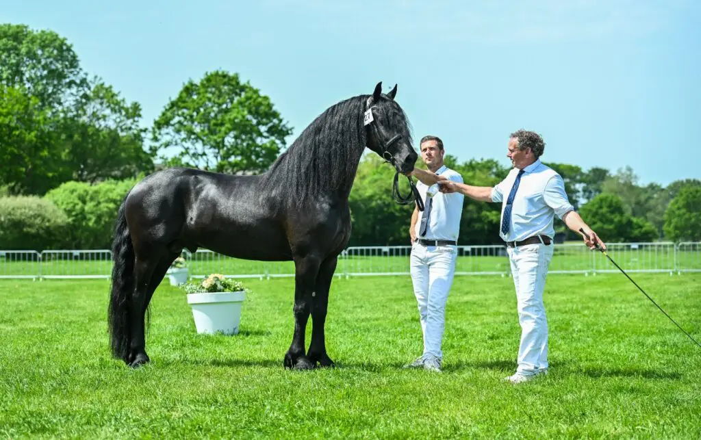 Locatiekeuringen Stal Lueks en SD Stables leveren 21 sterren op featured image