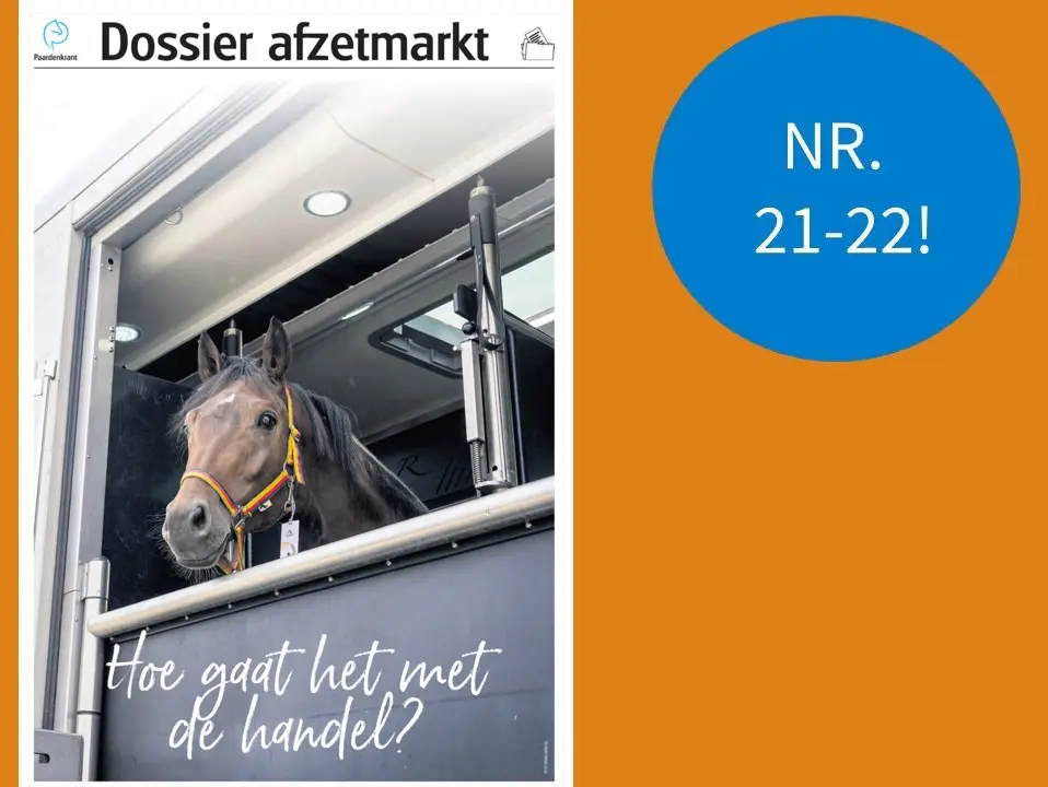 Dossier bij de Paardenkrant 21-22: Hoe gaat het eigenlijk met de handel? featured image