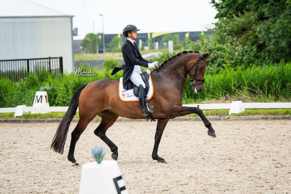 Julie Faiazza op dreef met Indian Rock-dochter: ‘Nalien wordt zeker mijn volgende Grand Prix-paard’ featured image