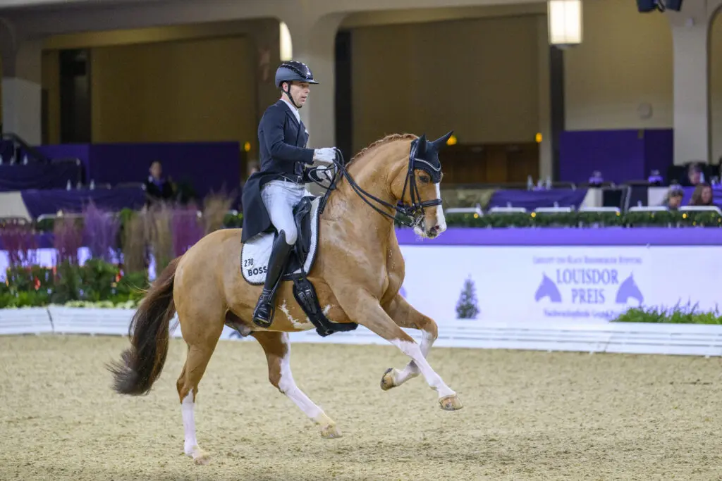Duits Kampioenschap: Drie paarden uit voorzorg teruggetrokken na koorts bij Quick Decision FRH featured image