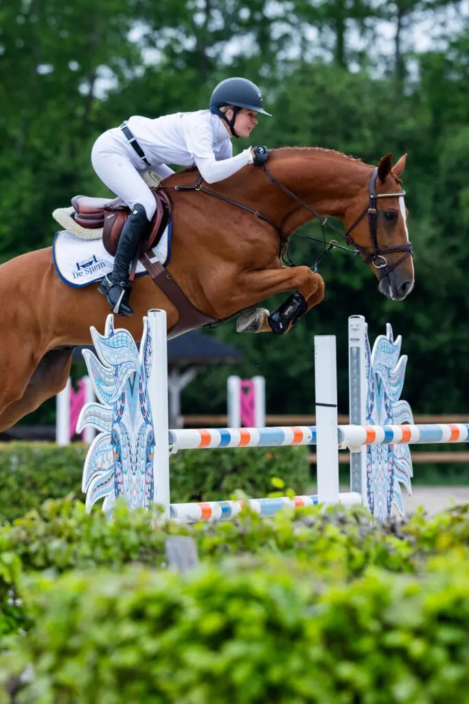 Olympic Dream Auction: 440.000 euro voor Carrera VDL-zoon featured image