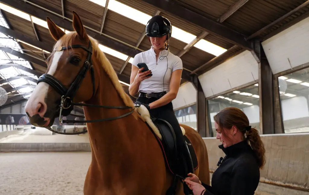 Equestic