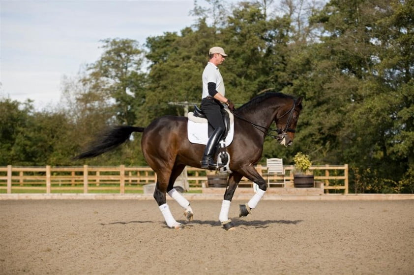Liebling II van Carl Hester onder Jonna Schelstraete featured image