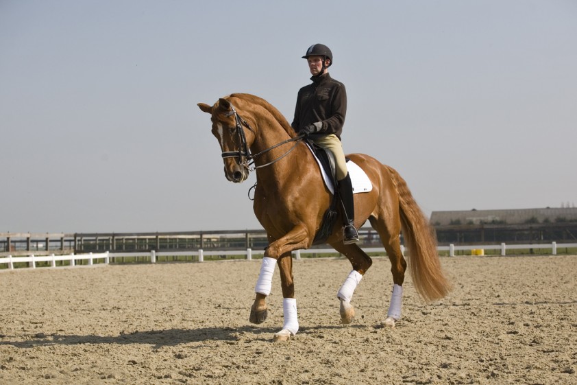 Moedwil (v. Goodwill) met Sander Marijnissen