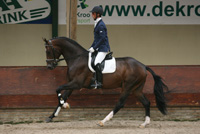 For Romadour wint op NRW-Nachwuchschampionat featured image