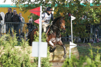 Raf Kooremans wint eventing in Minderhout featured image