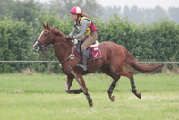 Merel Bloms eventingpaard loopt CIC3* na zware blessure featured image