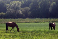 Welzijn: iedereen weet het beter featured image