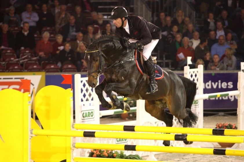 Wittinger VDL als springpaard verkocht featured image