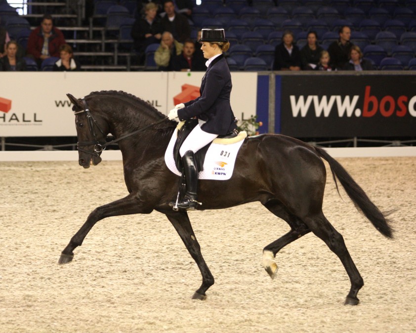 Wynton nakomelingen winnen vijfjarigen in Spanje featured image