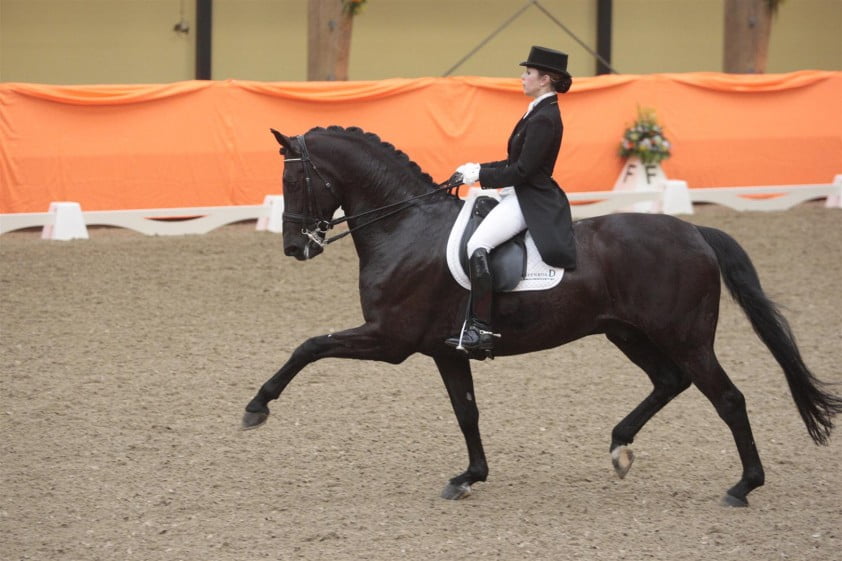 Topscores voor Dominique Filion en Lynne Maas featured image