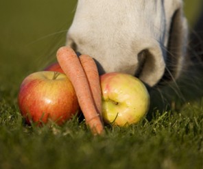 Afbeeldingsresultaat voor appels, wortels voer