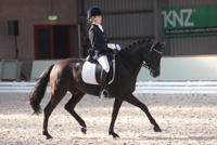 Febe van Zwambagt met FS Coco Jambo in het A-kader featured image
