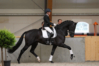 Aanlevering najaarstest Aanlevering najaarstest