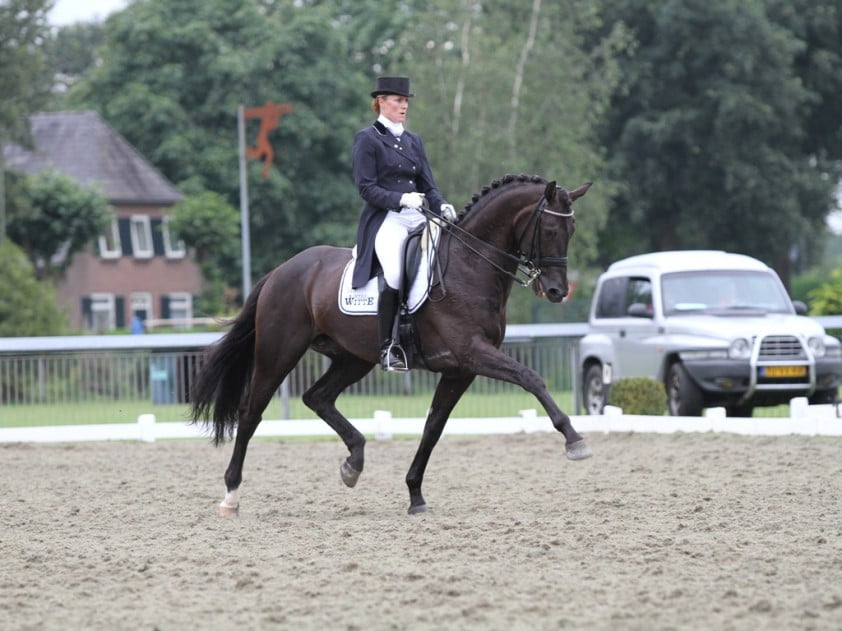 Wynton ook goedgekeurd in Zweden featured image