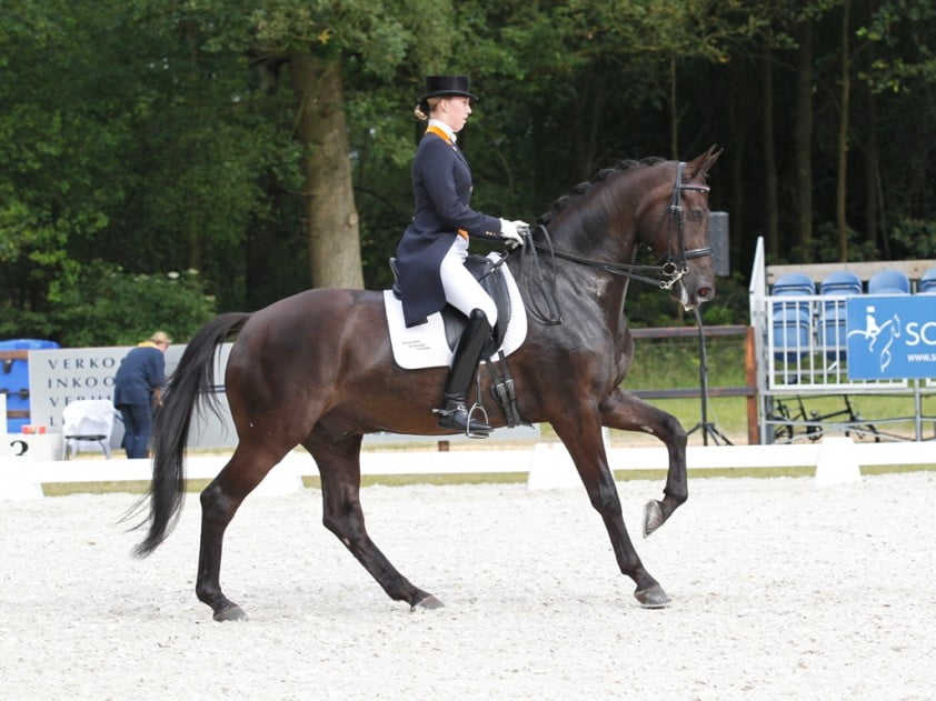 Duitse young riders winnen, Nederlanders derde featured image