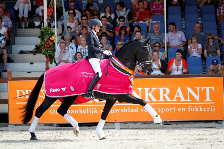 Desperado goedgekeurd in Hannover featured image