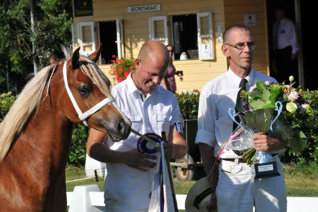 Nationaal Welsh kampioene 2012, de C-merrie Shamrocklake Bouncing Charity met Davy Wormgoor en Henrie Leeuwenhaag (rechts). Foto Janneke de Rade