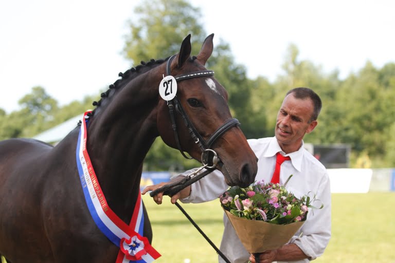 Chello III en Jazz leveren CK-kampioenen featured image