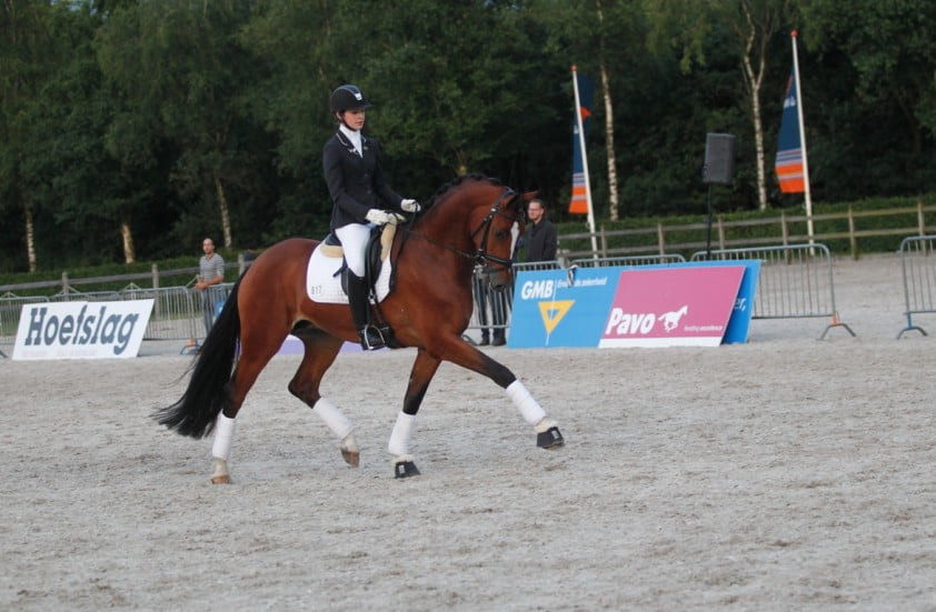 Excalibur topper in Pavo Cup featured image