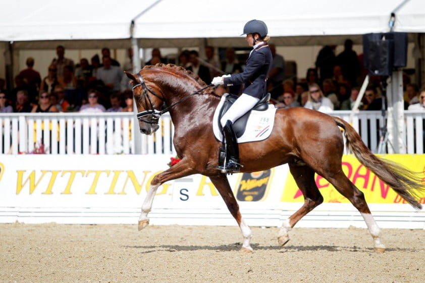 Charmeur-zoon veilingtopper met 46.000 euro featured image