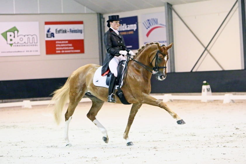 Grand Prix-winst voor Zweistra featured image