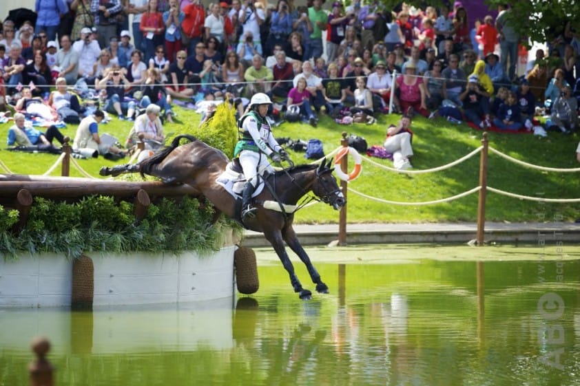 Eventingpaard Favorit Z overleden na noodlottige valpartij featured image