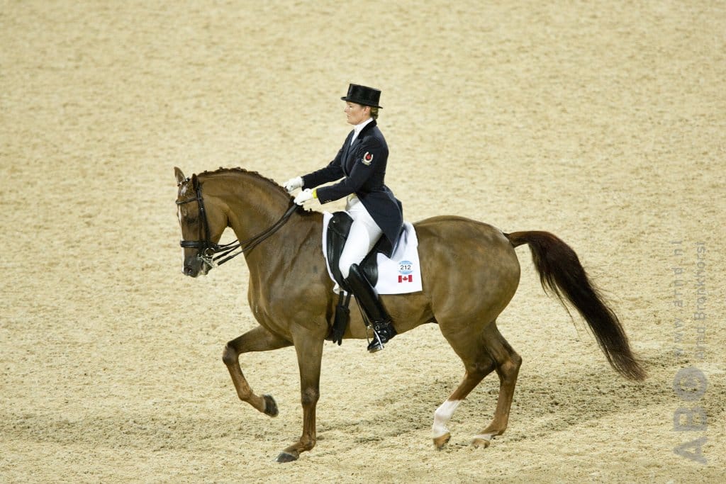 Ashley Holzer en Arthur winnen kür-debuut - Horses.nl