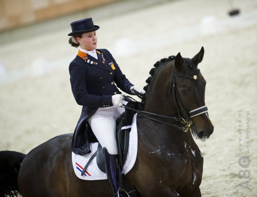 Jeanine Nieuwenhuis nieuwe stalruiter bij TC Dutch Sport Horses featured image