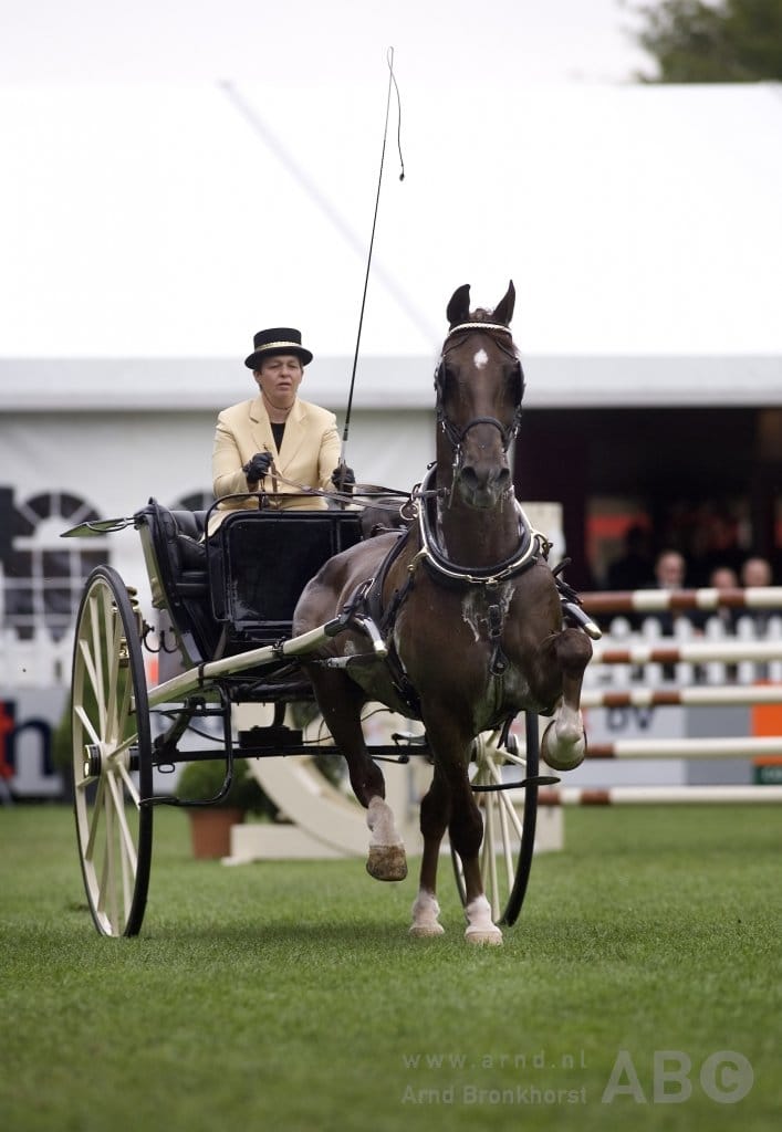 Anneke Huckriede en Business Nederlands Kampioen eenspan featured image