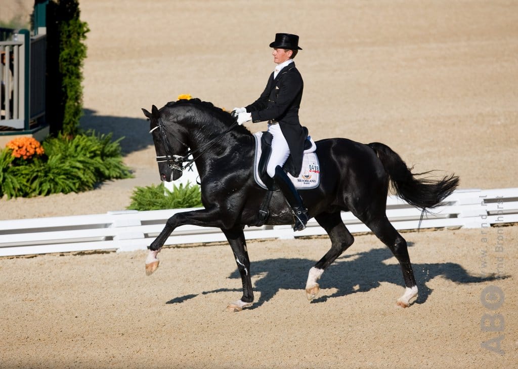 Dekgeld Totilas gezakt naar 2500 euro Horses