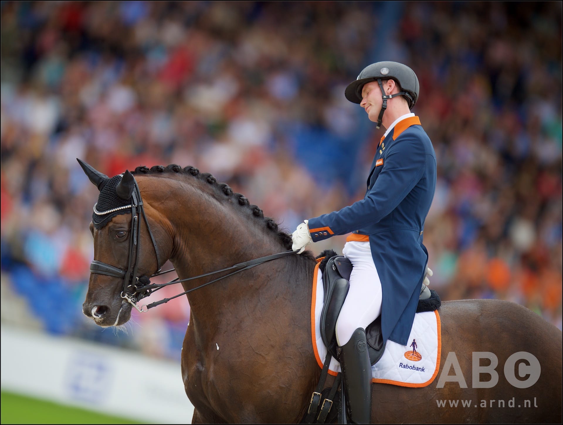 Van Silfhout heeft Olympisch visitekaartje afgegeven Horses