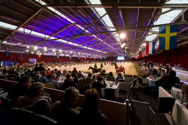 Morgen 15e Limburgse Veulenveiling met 109 veulens featured image